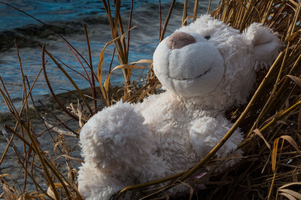 Bounty at Starnberger See, Germany (Januar 2016)