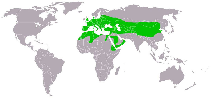Karte: Wikipedia