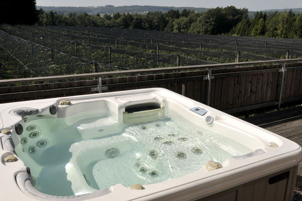 Jacuzzi mit zwei Whirlpoolfilter