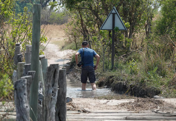 die Second Bridge steht unter Wasser, Moremi (BOT)
