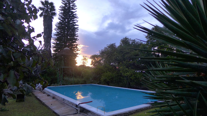 No.1-Pool