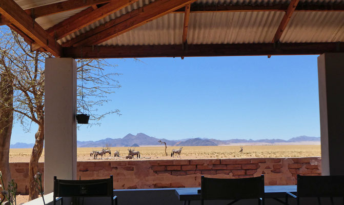 Blick von der Veranda in Namib Rand