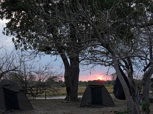 Sonnenuntergang in Xakanaxa, Moremi (BOT)