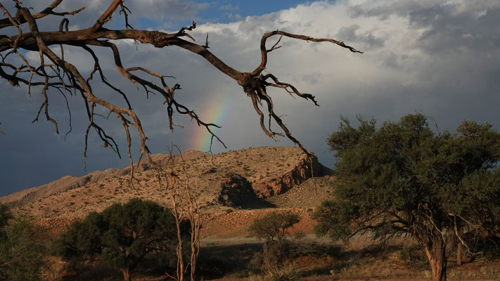 Regenbogen in der Namib