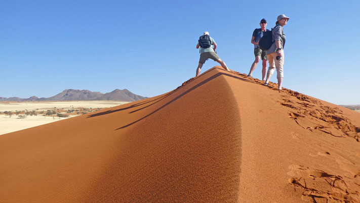 Auf den Dünen im Namib Rand Nature Reserve
