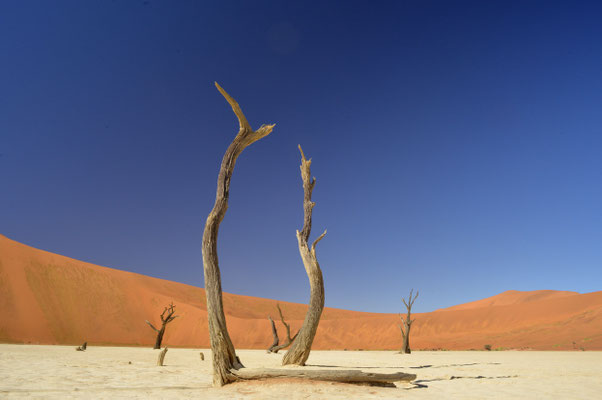 Deadvlei