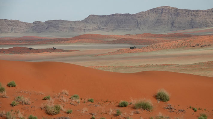 Dünen in der Namib