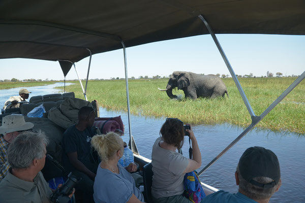 Bootsfahrt auf dem Okavango (BOT)