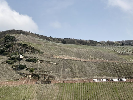 Unterwegs auf der Mosel