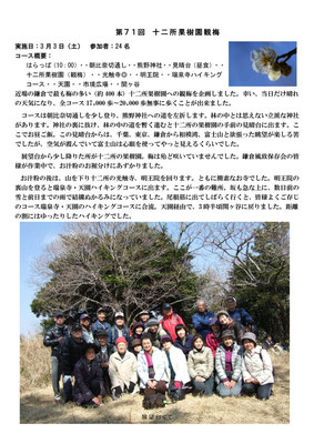 H24年 2012 3 鎌倉　十二所 観梅を兼ねて2万歩あるく、土曜日開催