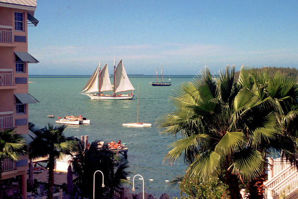 Auf den Florida Keys, hier Key West, fängt die Karibik an