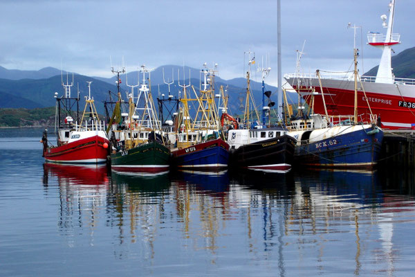 Die Fischereiflotte von Ullapool