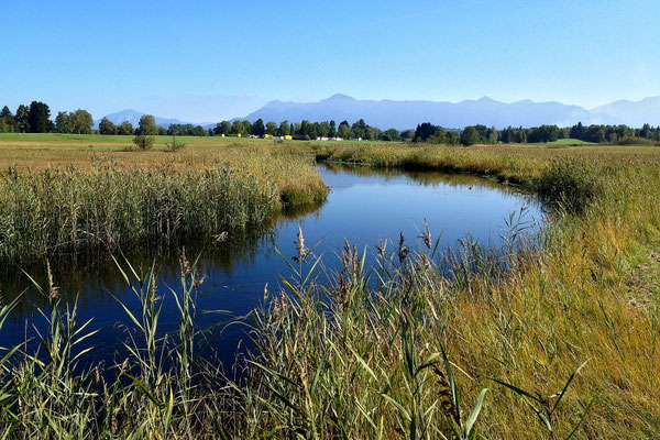 Zufluss des Staffelsees in Oberbayern