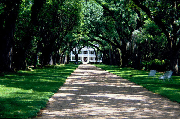 Monmouth Plantation am Mississippi