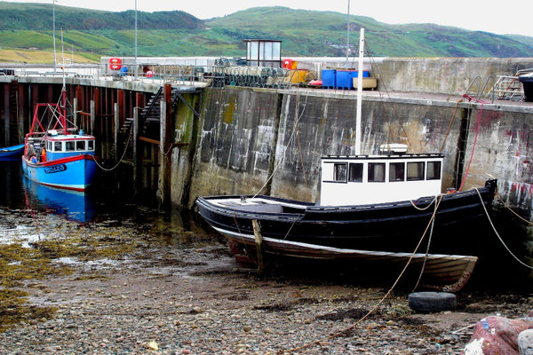 Ebbe
