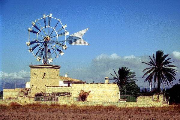 Mallorca, die liebste Ferieninsel der Deutschen