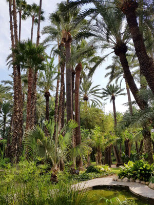 Huerto del Cura à Elx (Elche)