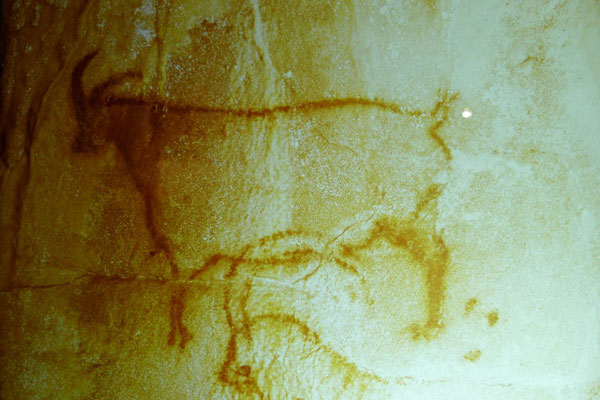 Visite de la grotte ornée préhistorique de Pech-Merle