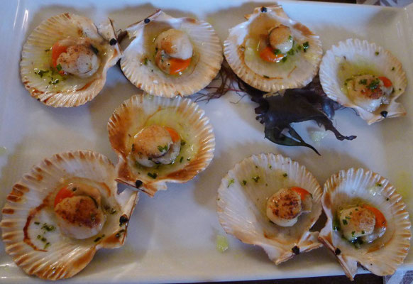 Les coquilles… de qui vous savez !