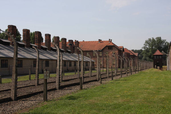 Barbelés au Camp de concentration d’Auschwitz