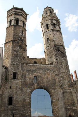 Cathédrale Vieux-Saint-Vincent de Mâcon