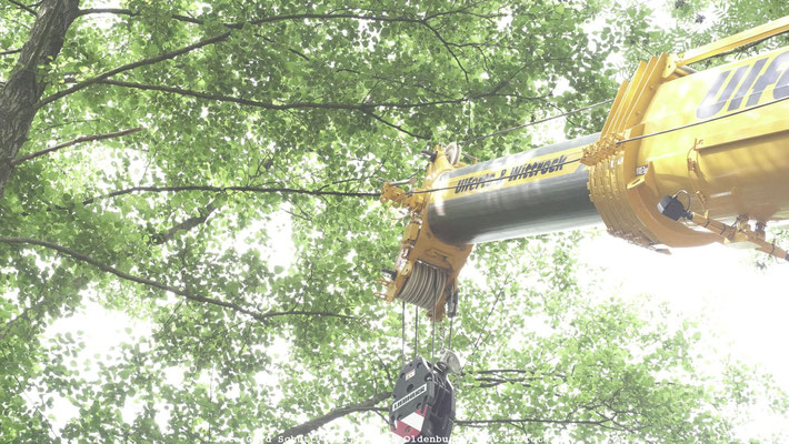 Erste Carabonbetonbrücke Deutschlands steht in Oldenburg
