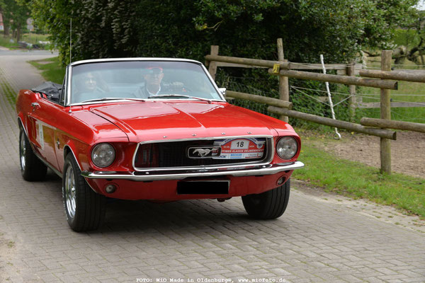 Ford Mustang 296 Cui Motor V8,   FOTO: MiO Made in Oldenburg®, www.miofoto.de
