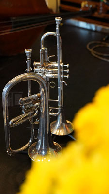 Foto:MiO Made in Oldenburg®, MiOfoto.de, Gerd Schütt