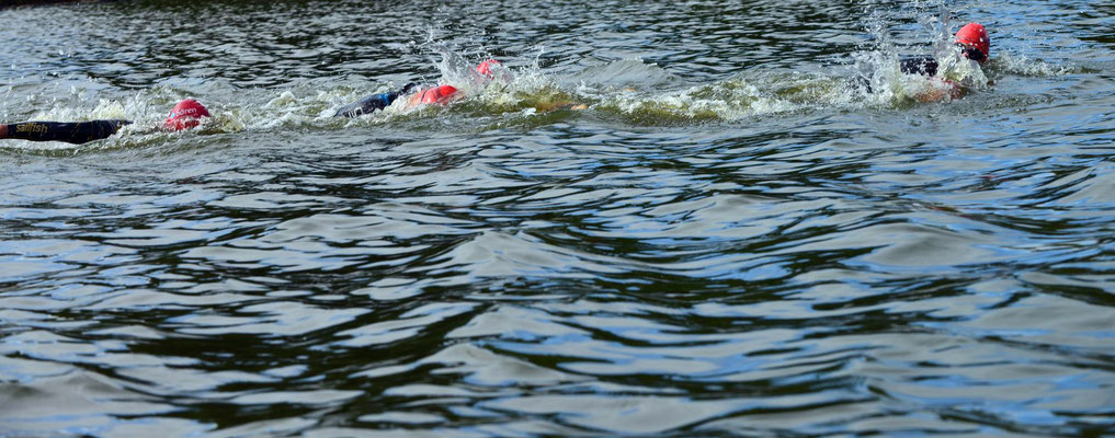 Baeren Triathlon Oldenburg,FOTO: MiOfoto.de