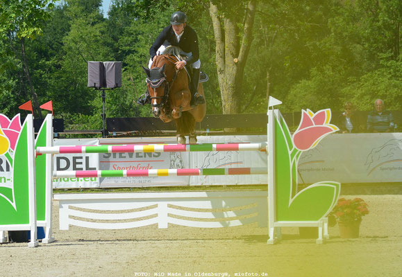  CSI Reitturnier in Wohlde,  FOTO: MiO Made in Oldenburg®, miofoto.de