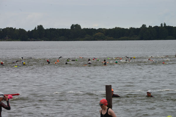 Baeren Triathlon Oldenburg,FOTO: MiOfoto.de