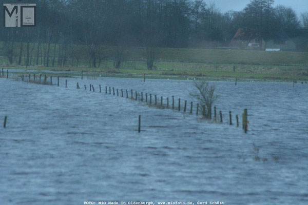 Hochwasser in Oldenburg, FOTO: MiO Made in Oldenburg®, Gerd Schütt