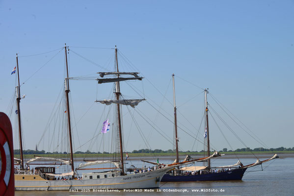 Sail 2025 Bremerhaven, Foto:MiO Made in Oldenburg®, www.MiOfoto.de