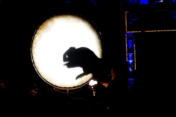  Circus Roncalli in Bremen, Foto von MiO Made in Oldenburg®, www.miofoto.de, Oldenburg