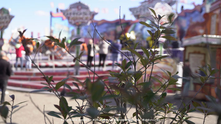 Kramermarkt_Oldenburg Foto_www_MiOfoto_de