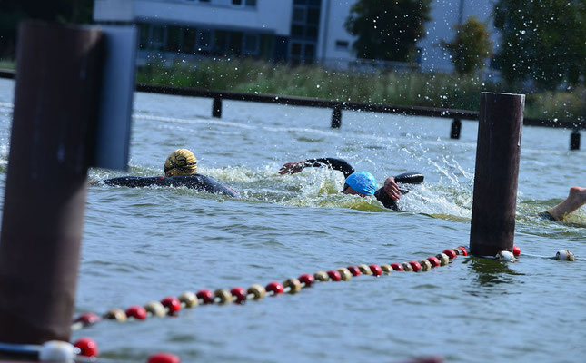 Baeren Triathlon Oldenburg,FOTO: MiOfoto.de