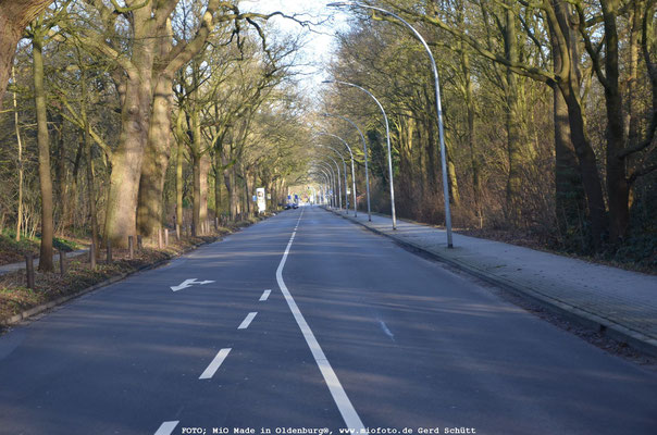 Autofreie Straße, FOTO: MiO Made in Oldenburg®, www.miofoto.de Gerd Schütt