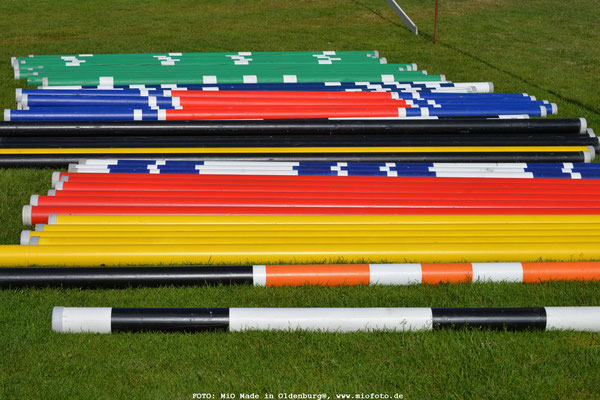 Oldenburger Landesturnier, Foto: Gerd Schütt, MiO Made in Oldenburg®, www.miofoto.de