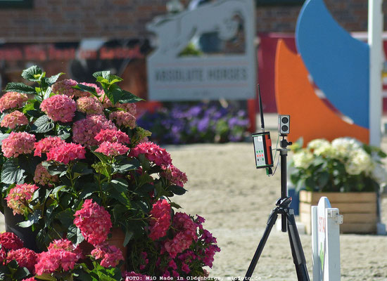 CSI Reitturnier in Wohlde, FOTO: MiO Made in Oldenburg®, miofoto.de