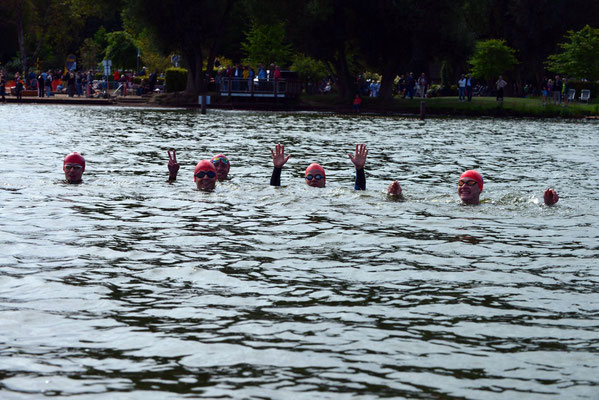 Baeren Triathlon Oldenburg,FOTO: MiOfoto.de