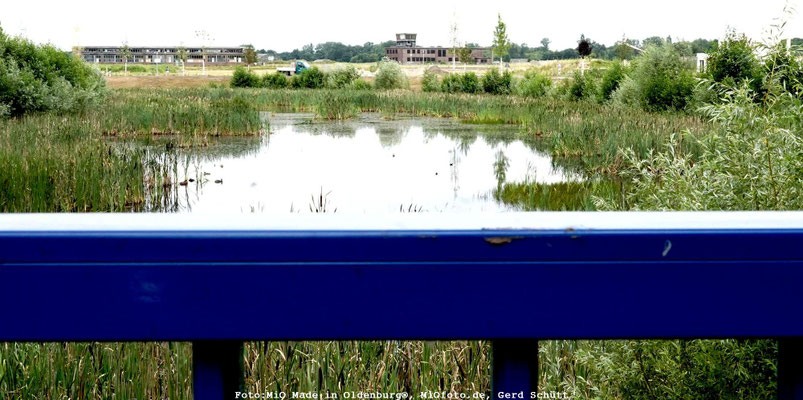 Foto:MiO Made in Oldenburg®, MiOfoto.de, Gerd Schütt
