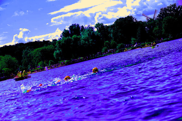 Baeren Triathlon Oldenburg,FOTO: MiOfoto.de