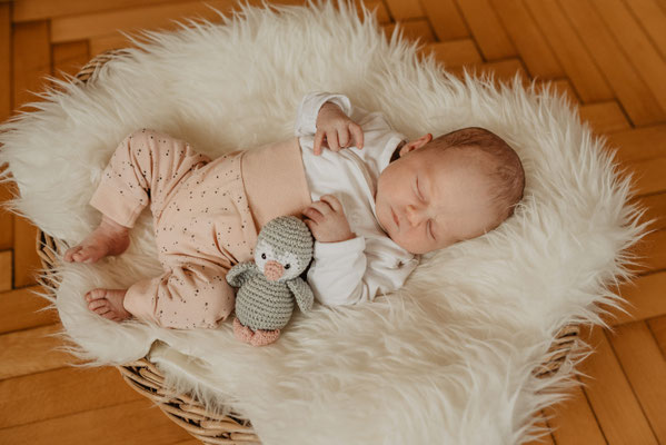Babyshooting Creglingen