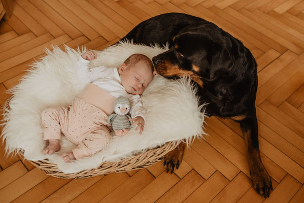 Babyshooting Creglingen