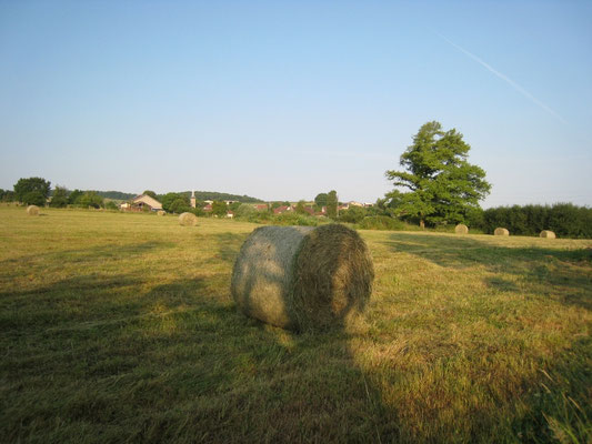 Le foin dans les prés à côté de la maison