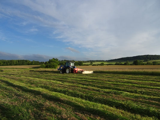 Foin sur la route de Noroy