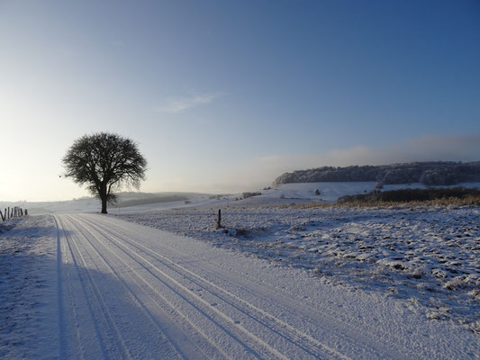 Sur la route de Montjustin