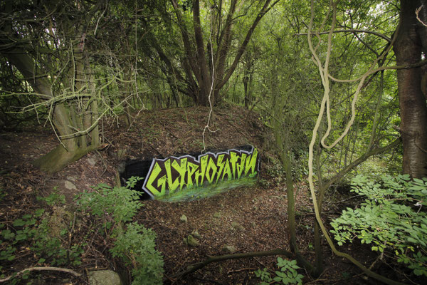 "Glyphosatan" © Stefan Hoch
