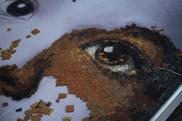 Petit garçon, autour de l'oeil  (mosaïque portrait)
