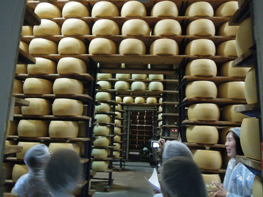 パルメザンチーズの工場、少人数でなければ見学できません。